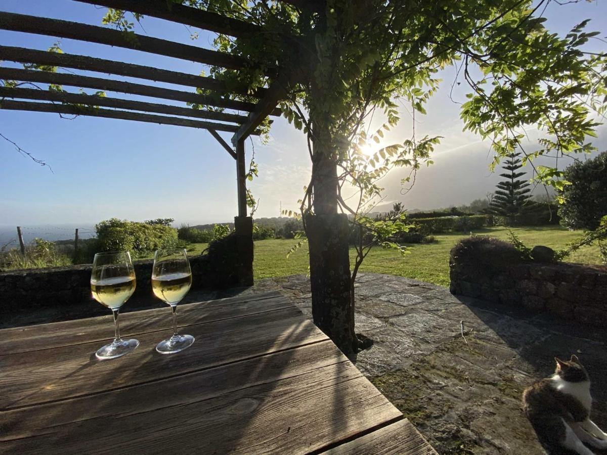 Hébergement de vacances Quinta Perpetua, Casa Pico *