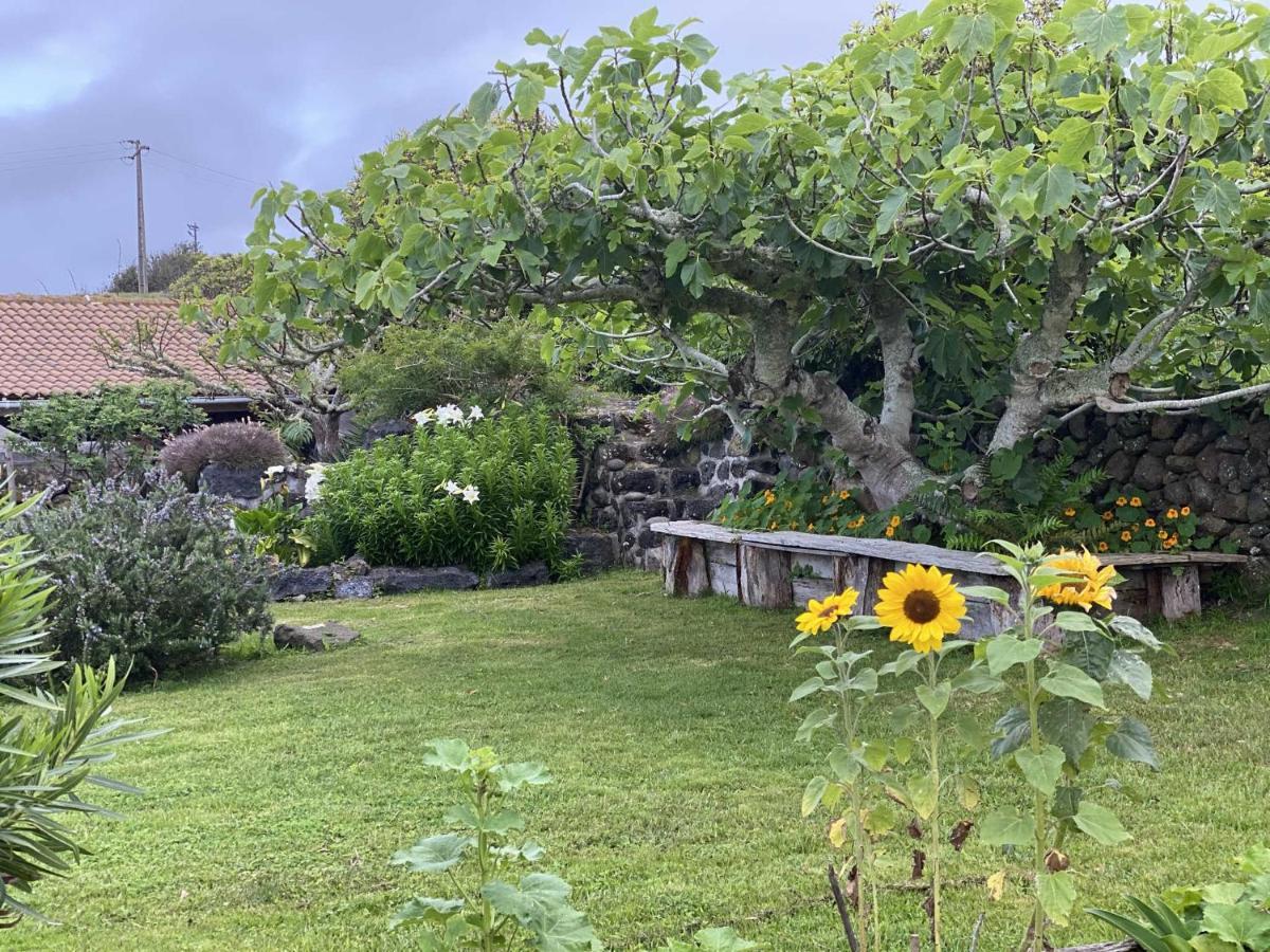 Quinta Perpetua, Casa Pico Alto do Sul