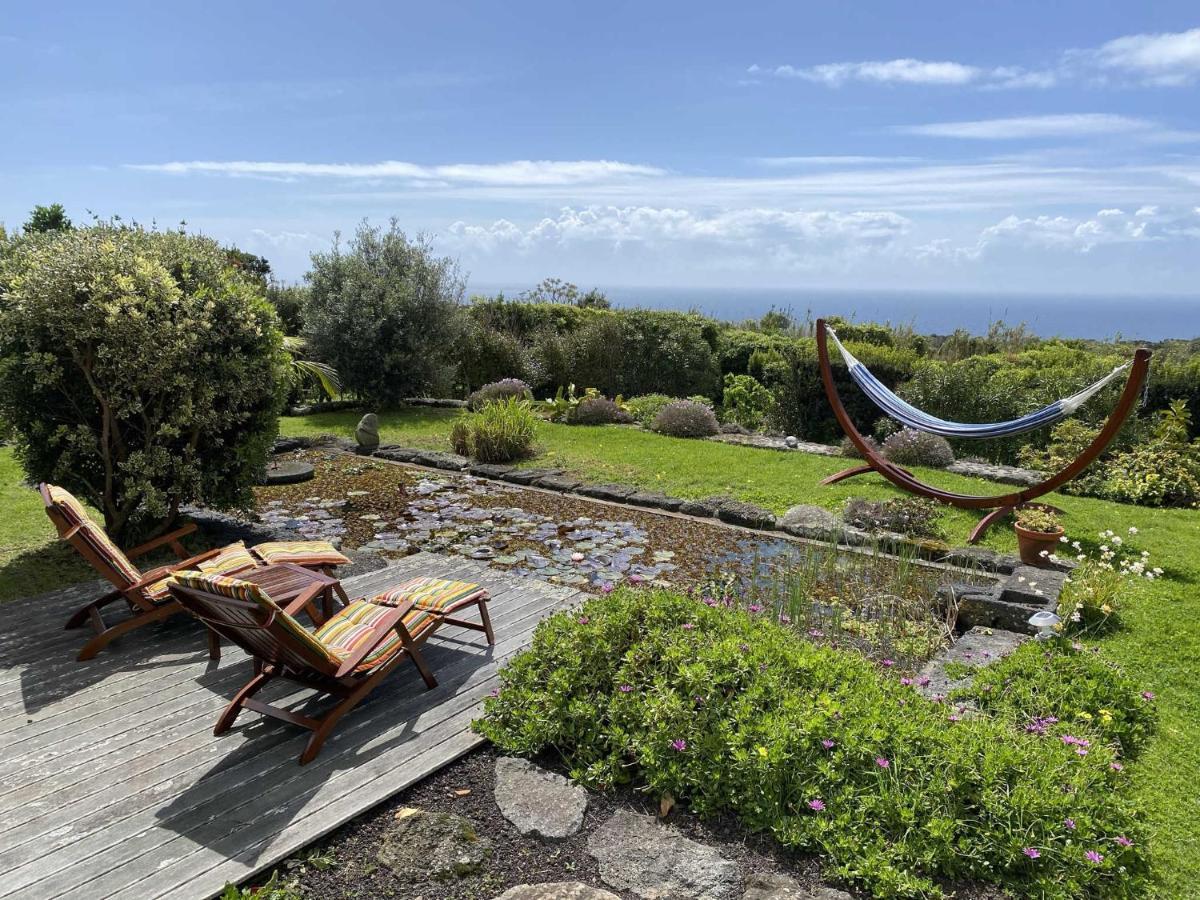 Quinta Perpetua, Casa Pico Hébergement de vacances Alto do Sul